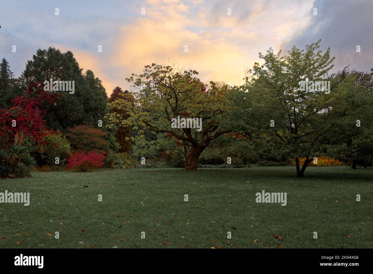 autumn botanical gardens bath Stock Photo - Alamy