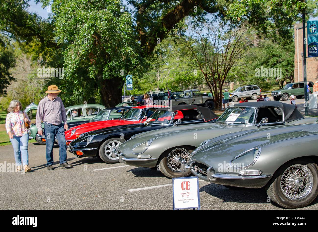 Car enthusiasts walk past a row of vintage Jaguar E-Type cars at the 31st annual British Car Festival, Oct. 24, 2021, in Fairhope, Alabama. Stock Photo