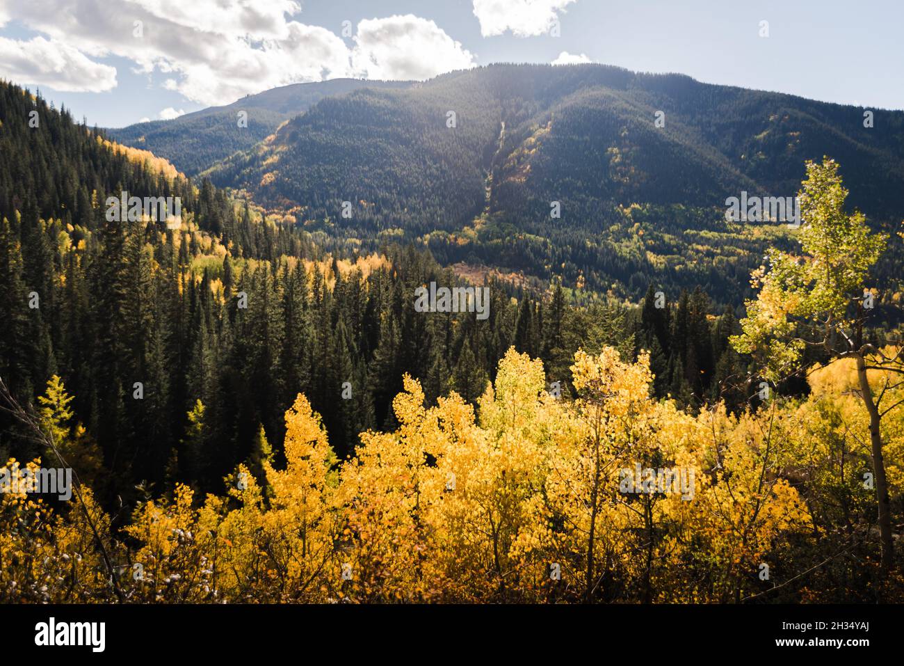 Vail colorado landscape hires stock photography and images Alamy
