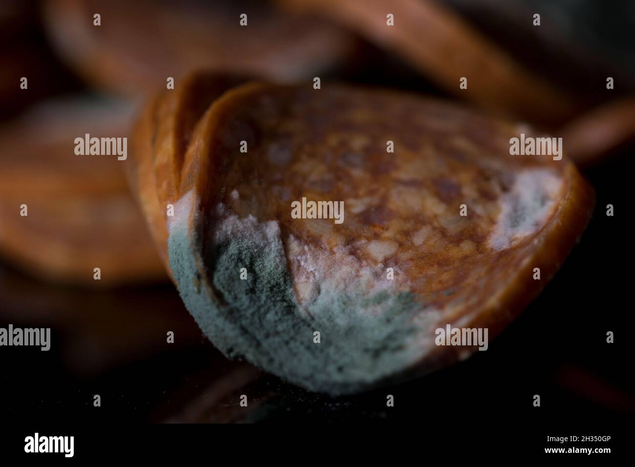 Green mold moldy food close up Pepperoni with mold on it Stock Photo
