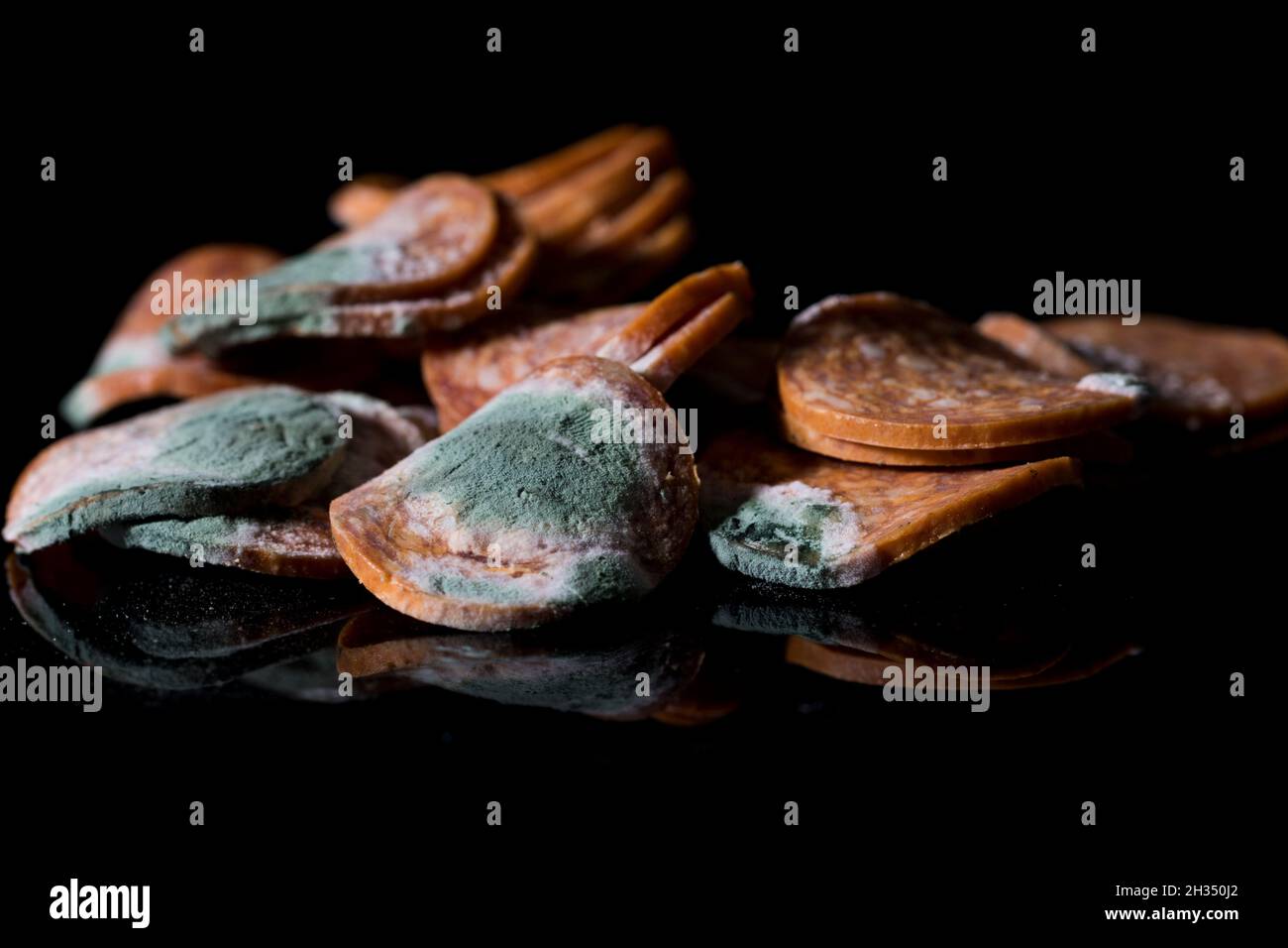 Moldy meat close up spoiled green mold on food. Rotten fungal infested