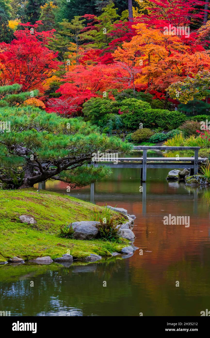 Lovely pond in Seattle Japanese Garden, Seattle, Washington State, USA Stock Photo