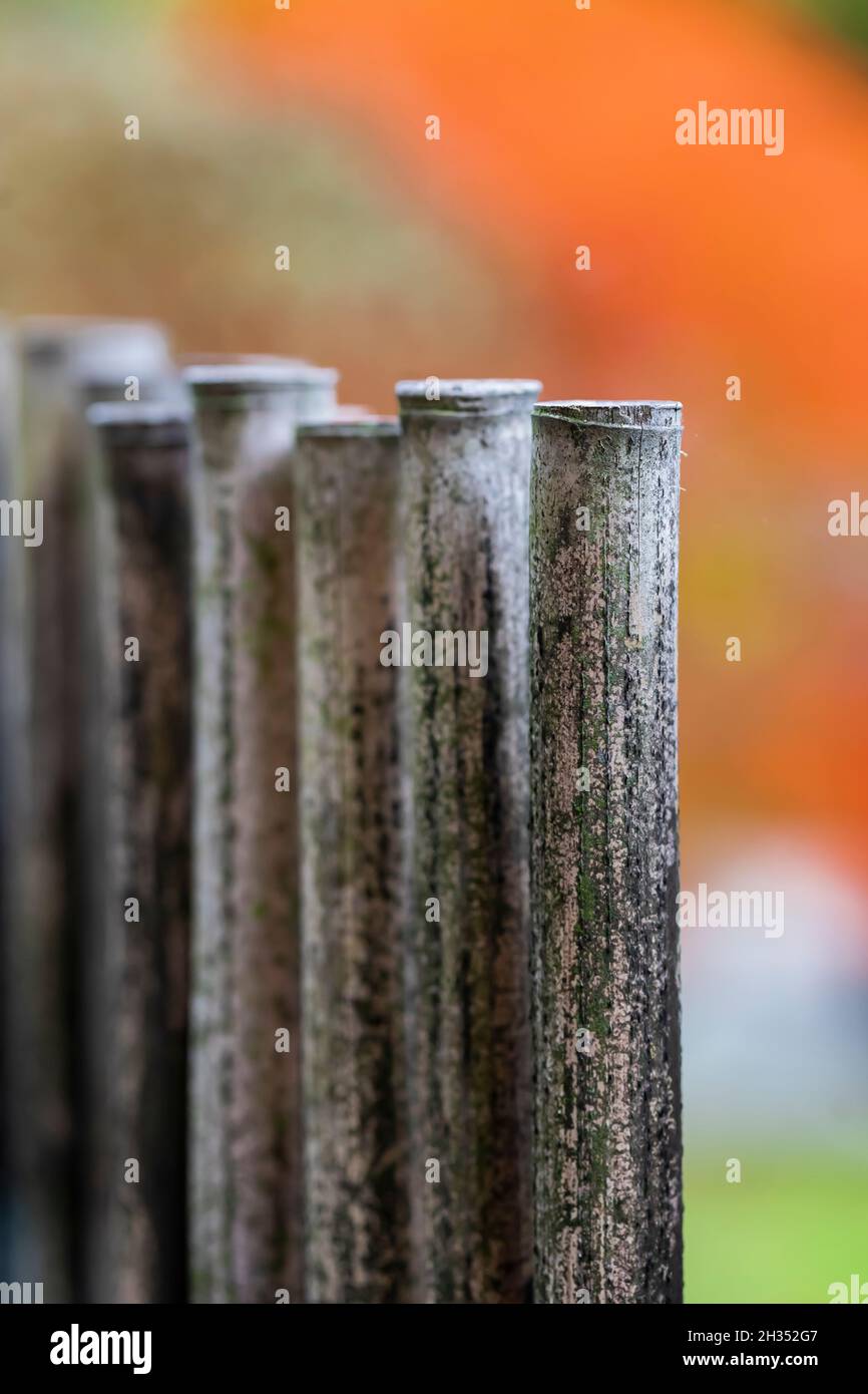 Bamboo fence in the Seattle Japanese Garden, Seattle, Washington State