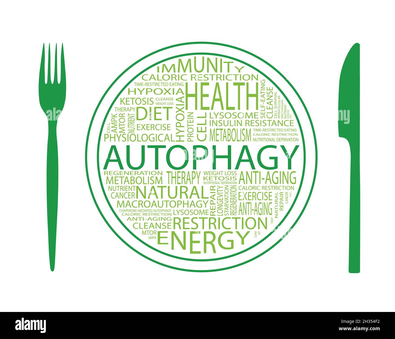 Autophagy flat design concept. Lettering on plate with fork and knife. Motivational card. illustration on white background Stock Photo