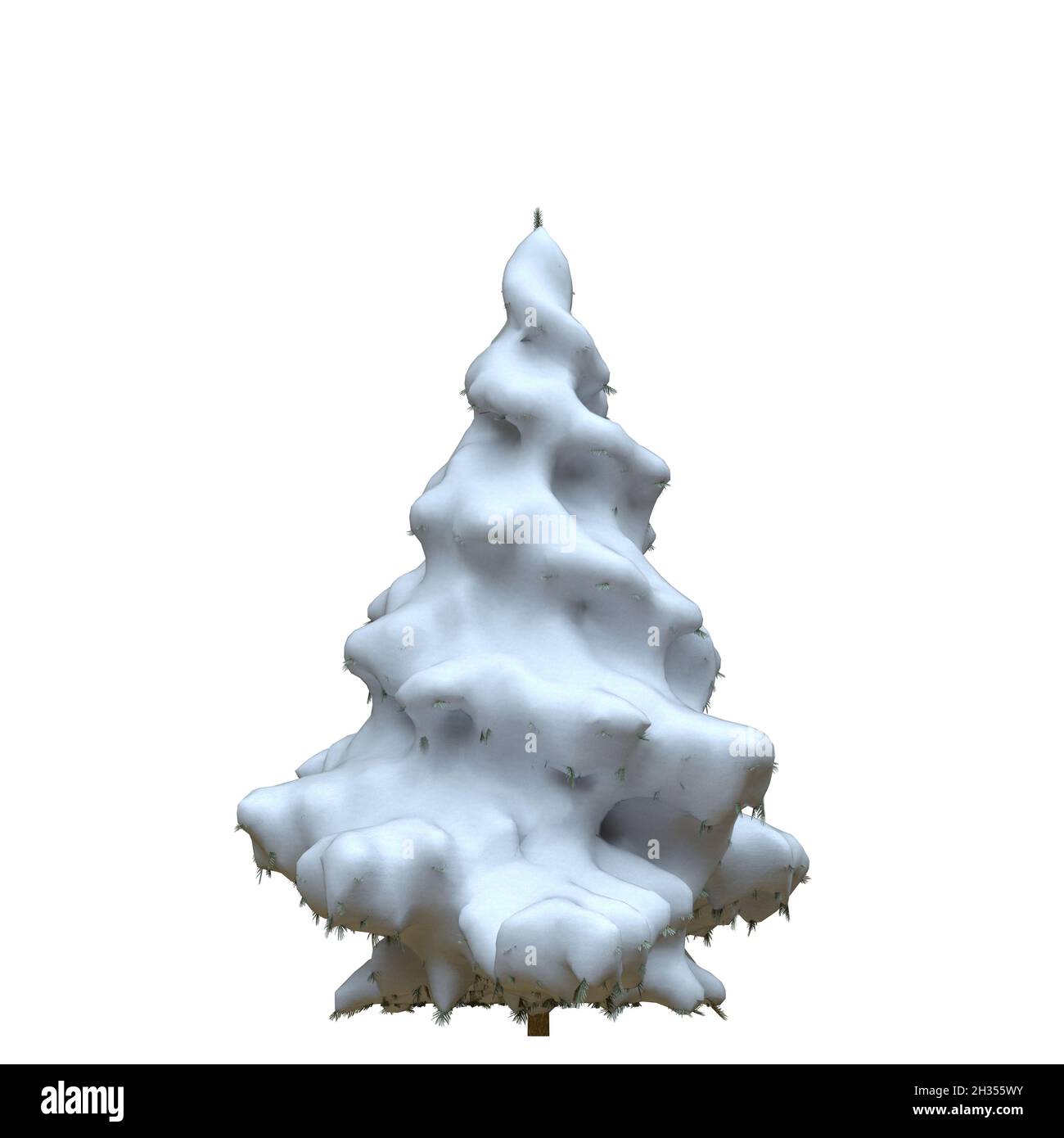 3D illustration winter fir tree in the snow isolated on white ...