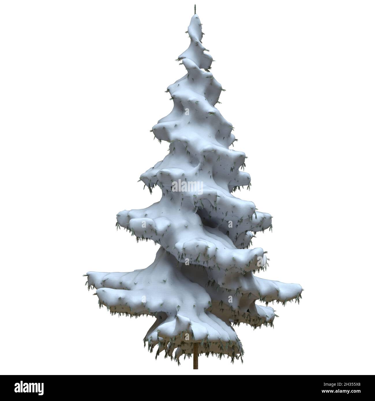 3D illustration winter fir tree in the snow isolated on white ...