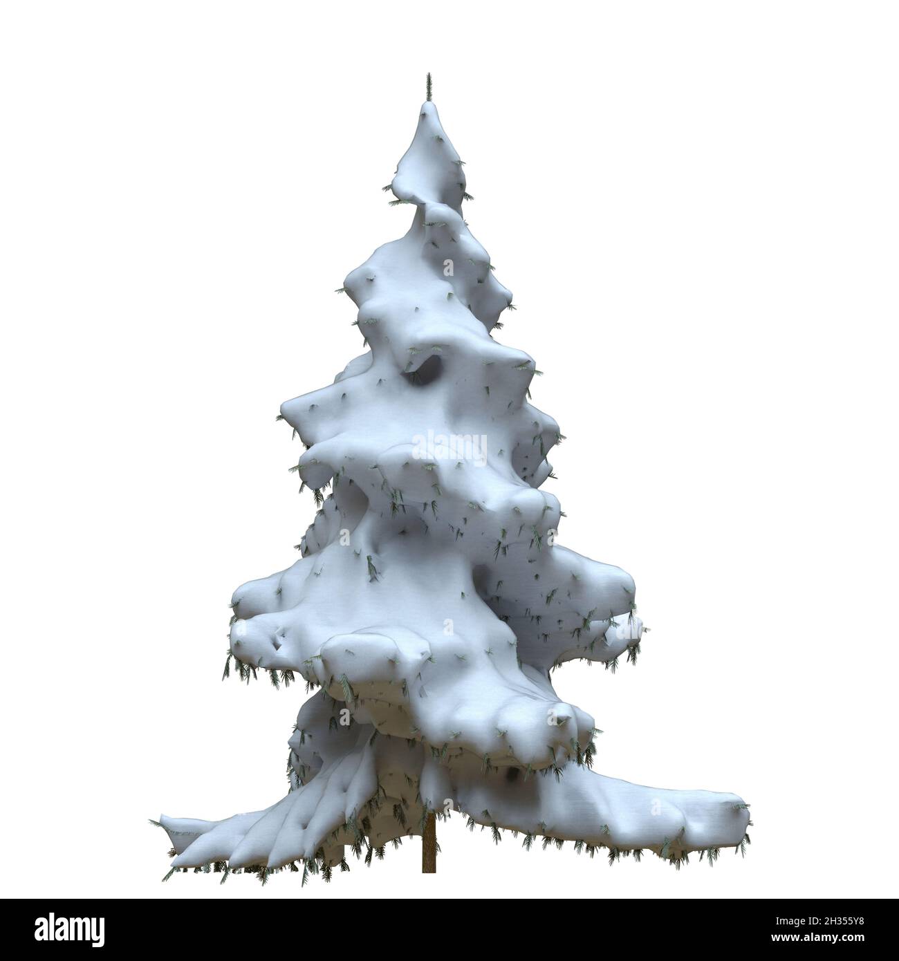 3D illustration winter fir tree in the snow isolated on white ...