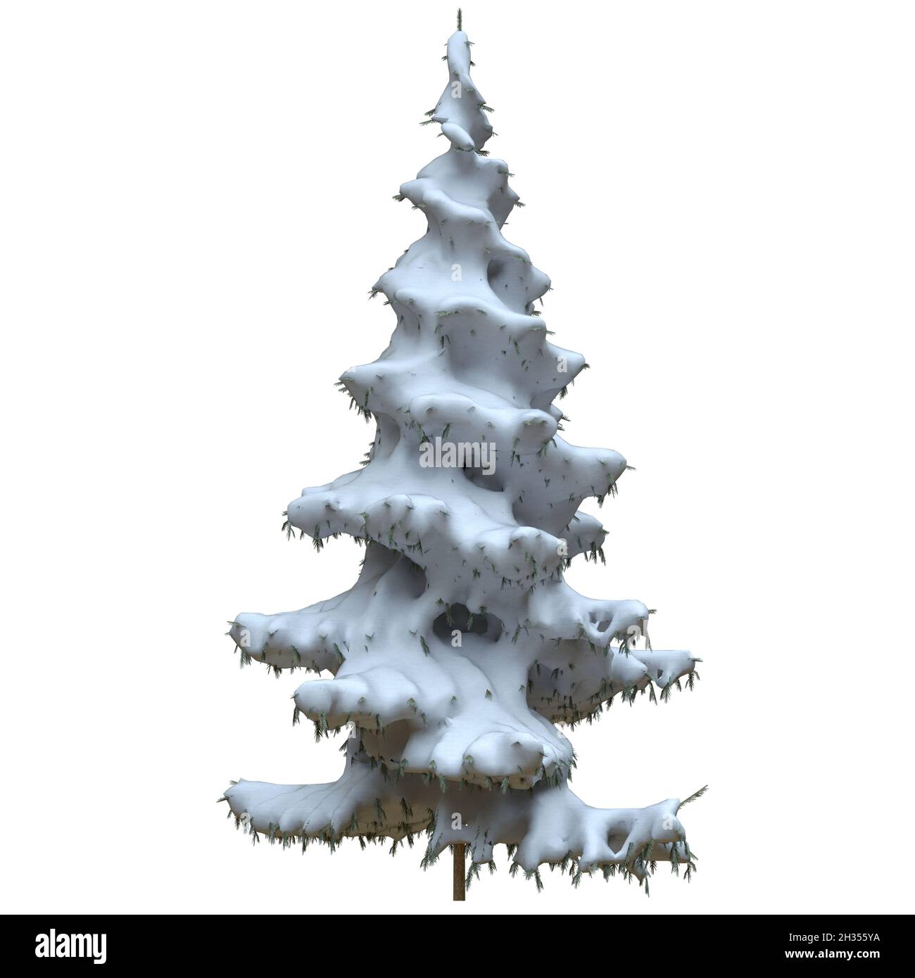 3D illustration winter fir tree in the snow isolated on white ...