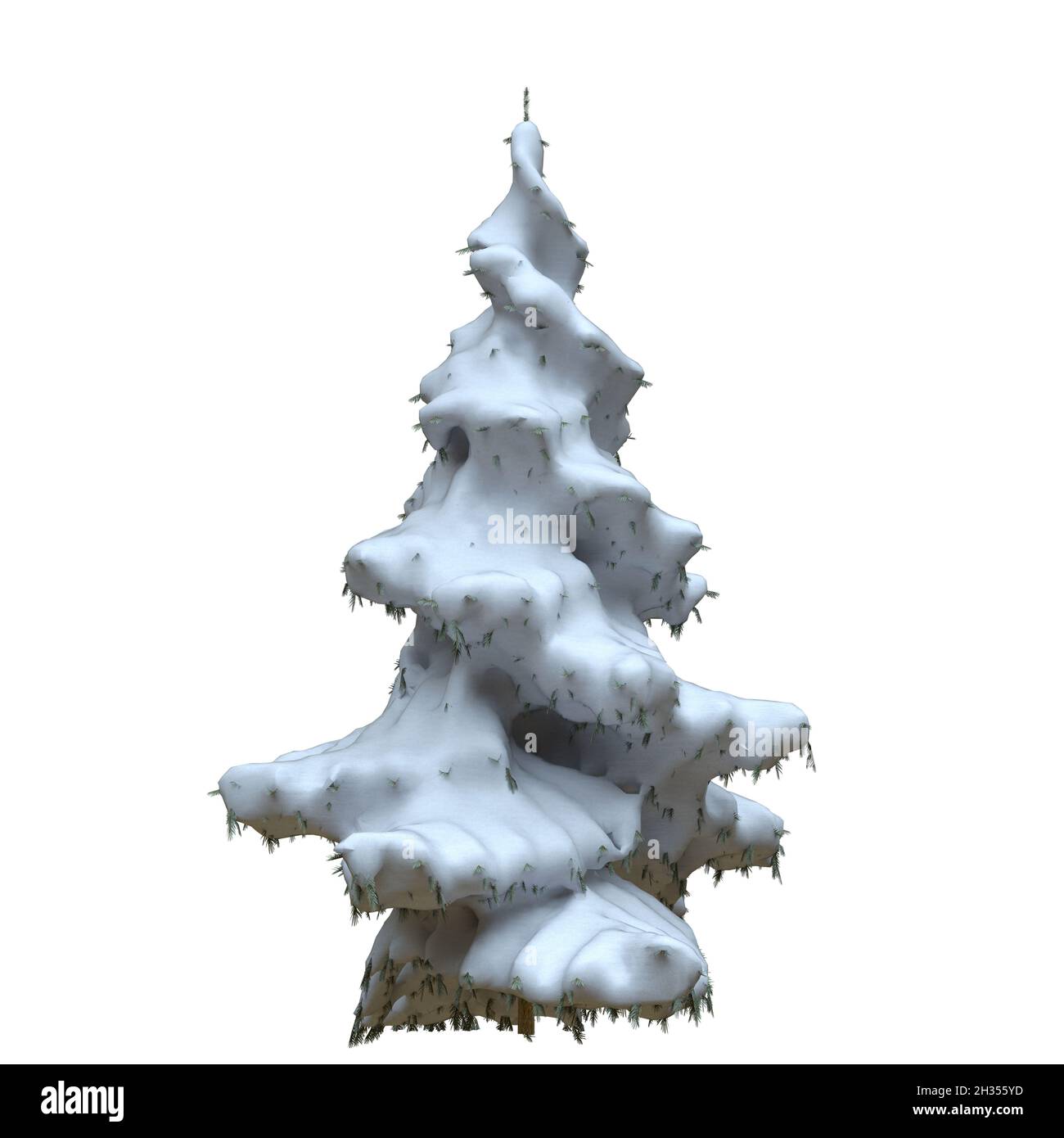 3D illustration winter fir tree in the snow isolated on white ...