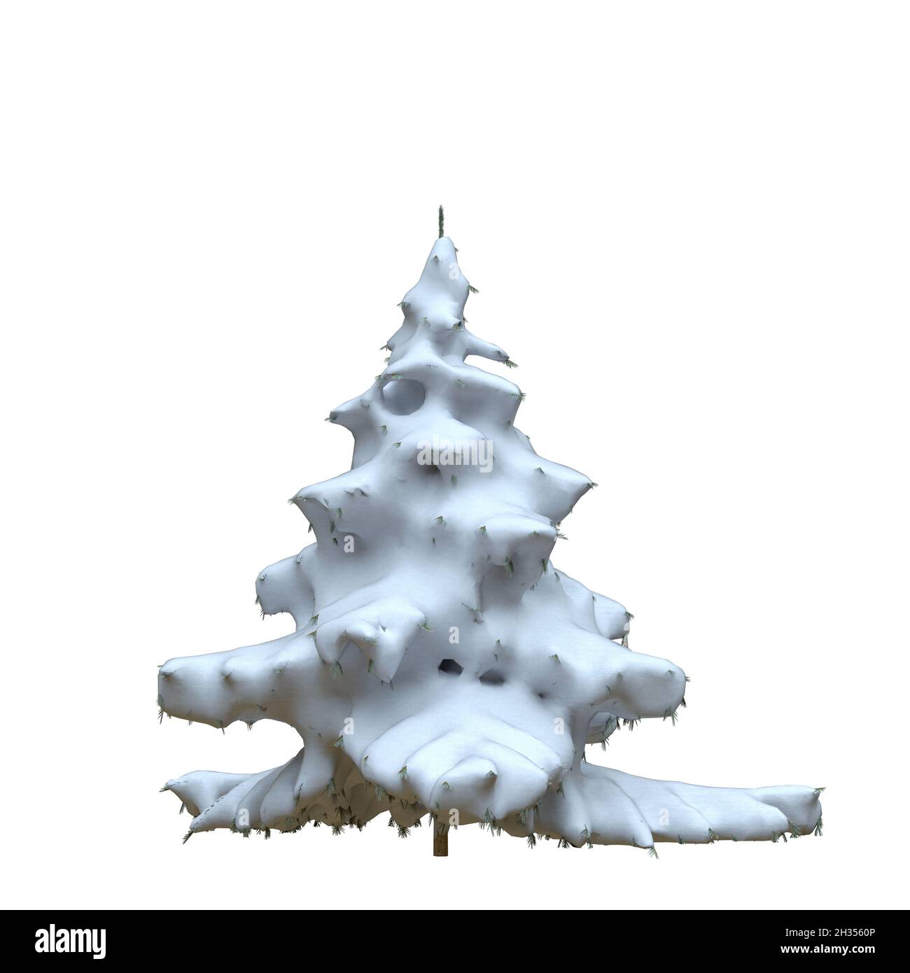3D illustration winter fir tree in the snow isolated on white ...