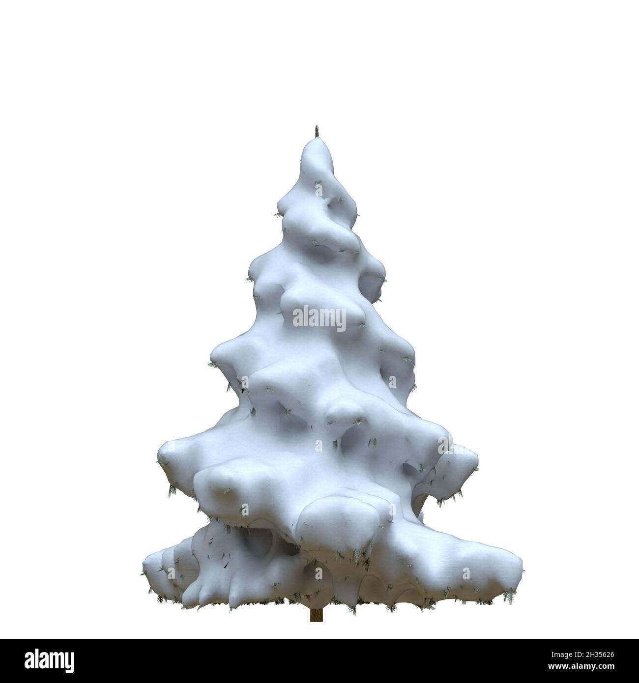 3D illustration winter fir tree in the snow isolated on white ...