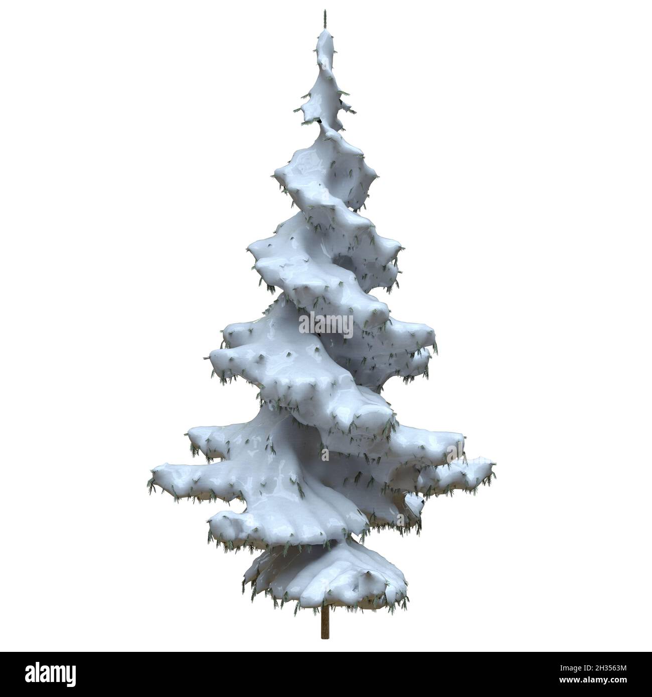 3D illustration winter fir tree in the snow isolated on white ...