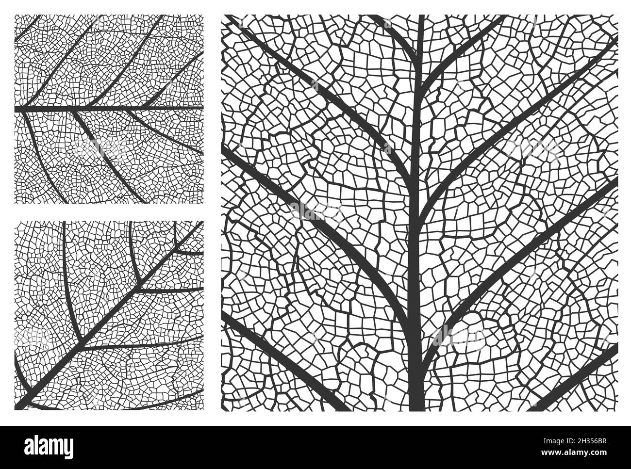 Leaf texture pattern background, vector closeup plant leaf pattern with veins and cells. Foliage and floral nature ornament design of tree leaf in bla Stock Vector