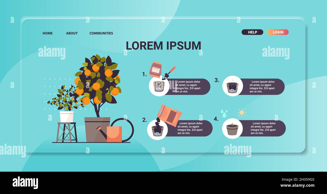 potted orange plant growing fruit tree in pot garden work farming