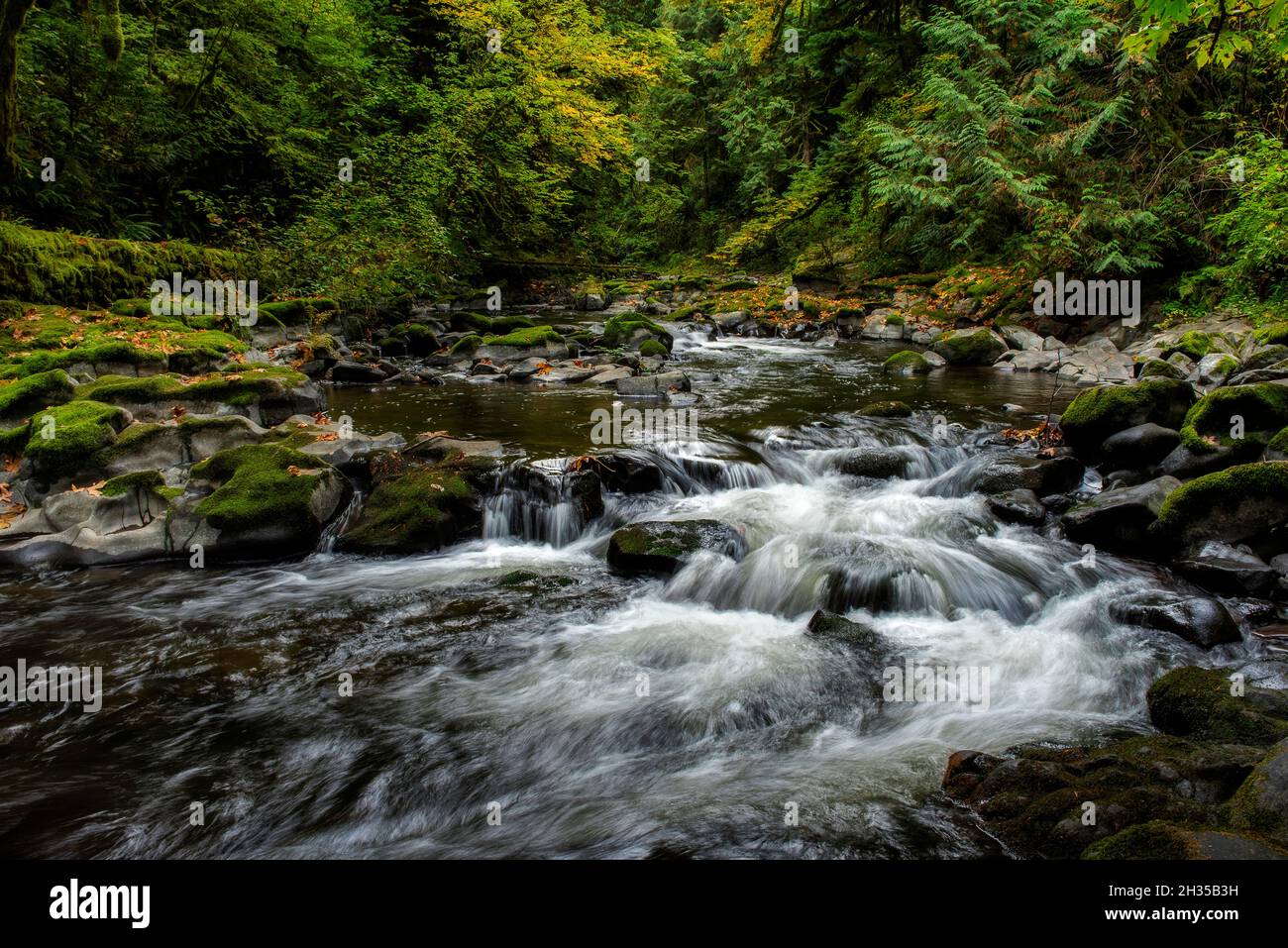 This is Cedar Creek near Woodland, Washington. On the left, you can see