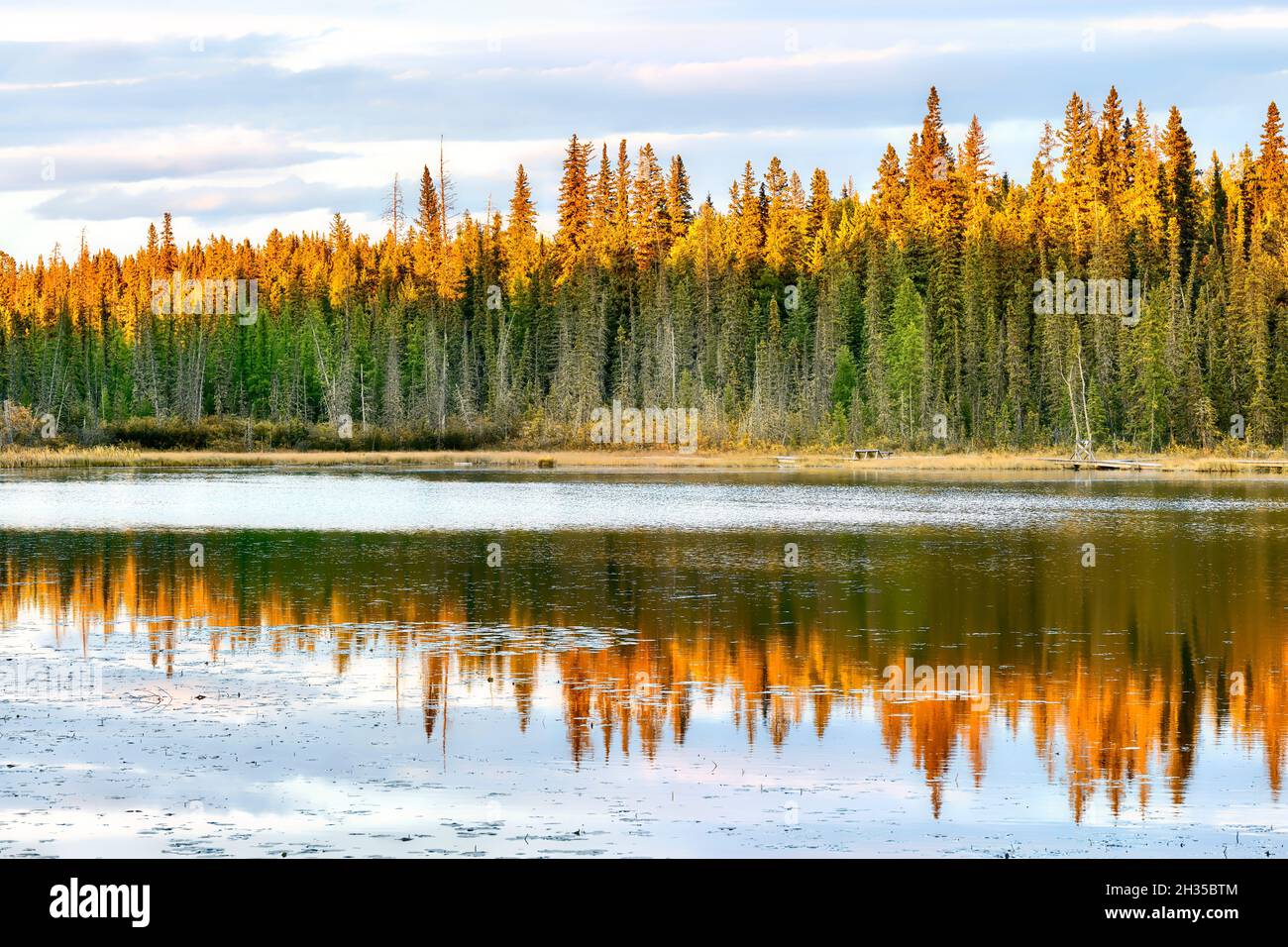 An early morning reflection on Maxwell Lake in Hinton Alberta Canada Stock Photo