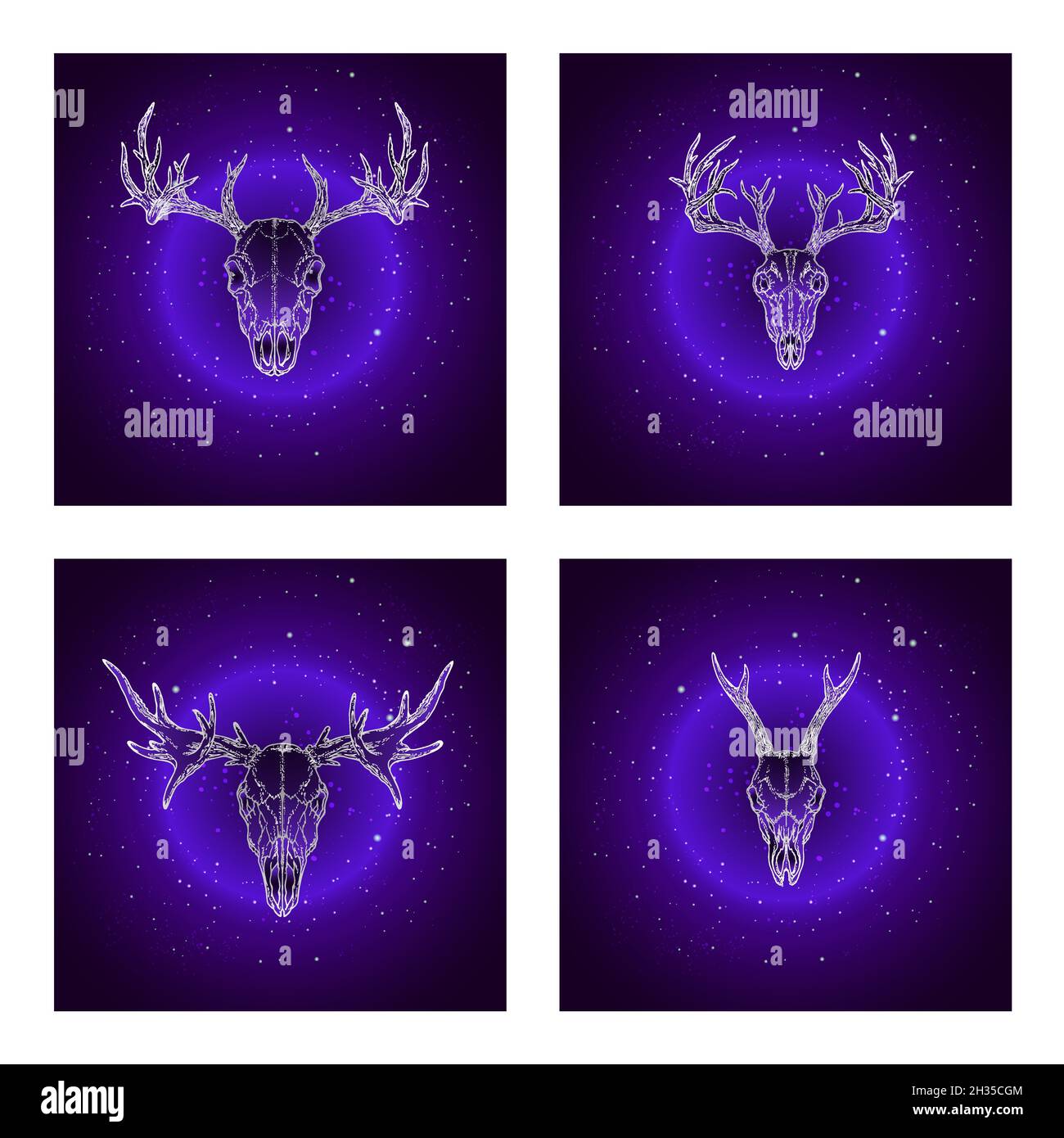 Vector set of four illustrations with hand drawn skulls deer and moose ...