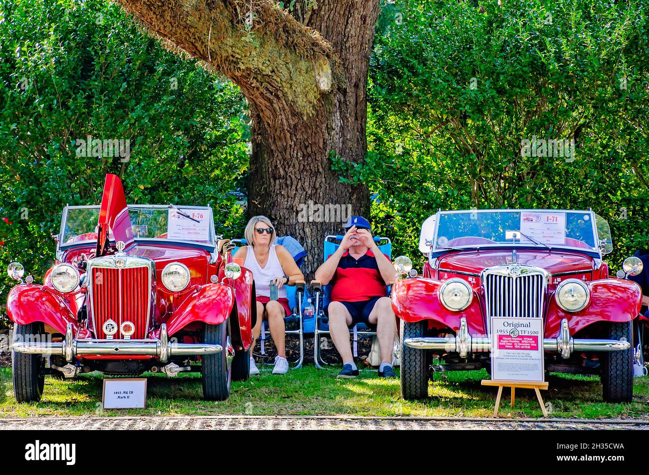 A 1952 MG TD Mark II and a 1955 MG TF 1500 Midget are displayed at the 31st annual British Car Festival, Oct. 24, 2021, in Fairhope, Alabama. Stock Photo