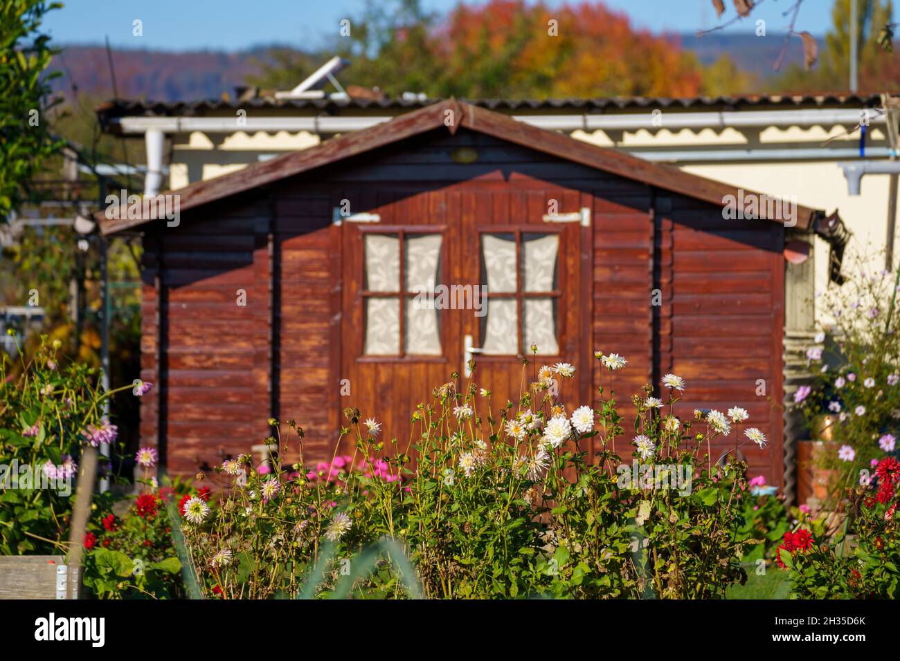 Oberursel, Germany. 24th Oct, 2021. A garden hut is located in the  association area "Kleingärtnerverein Oberursel". An allotment garden plot  is marked with a sign. Allotment and rental gardens in Hesse have