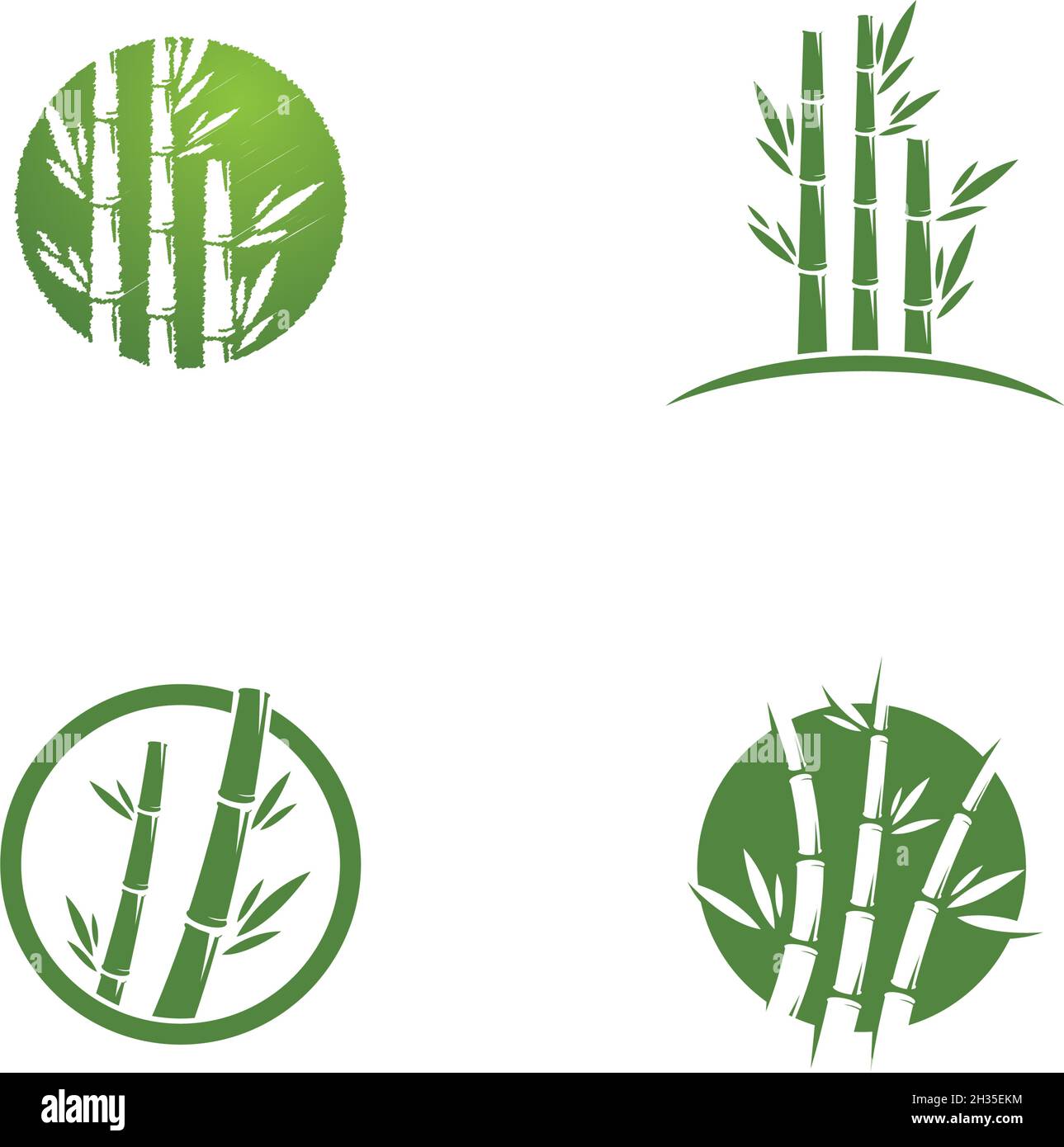 Bamboo logo ilustration vector template Stock Vector