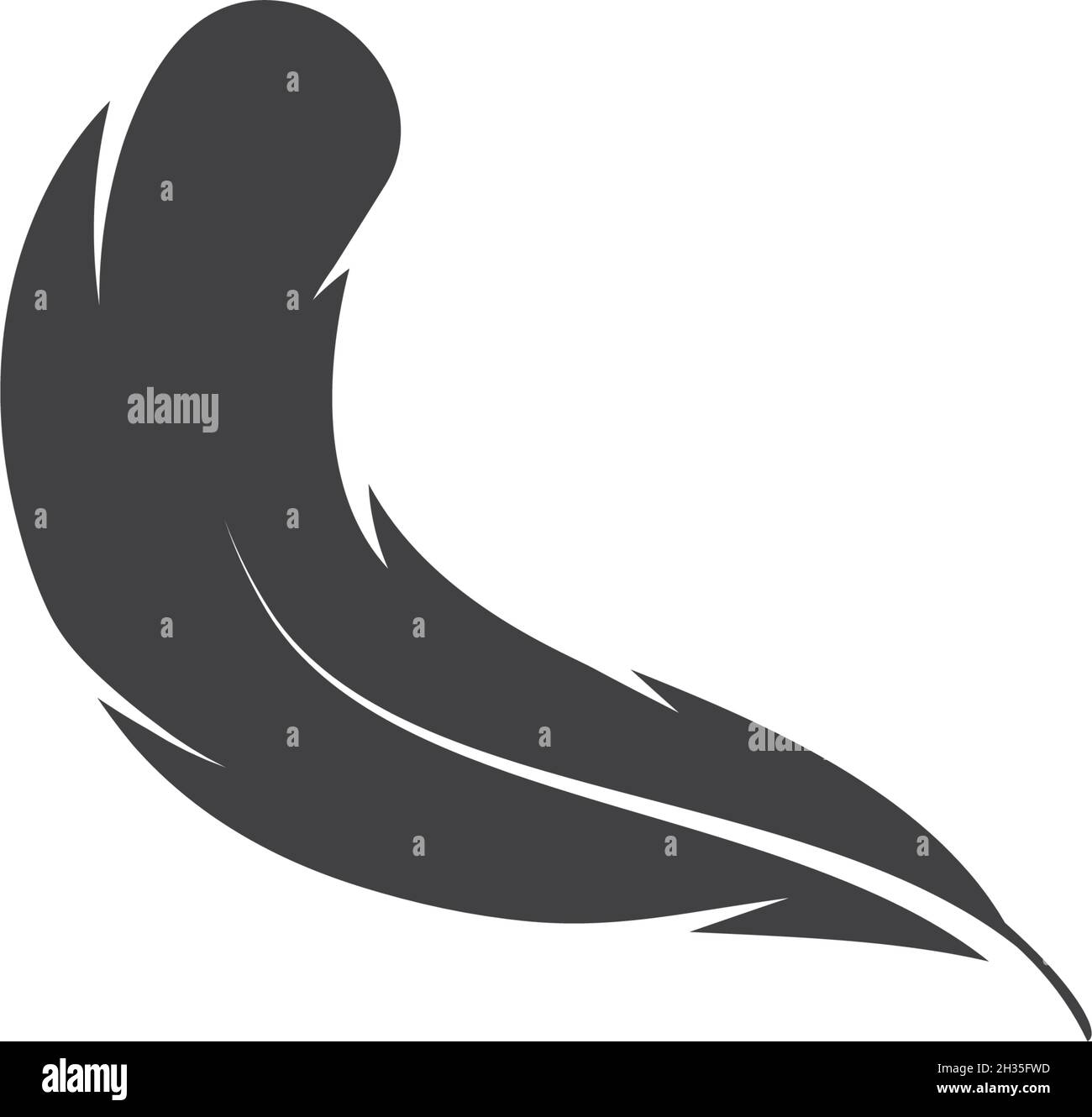 Feather ilustration  logo vector template Stock Vector