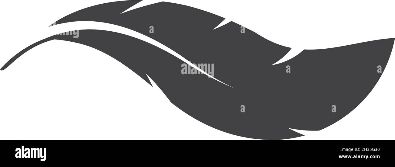 Feather ilustration  logo vector template Stock Vector