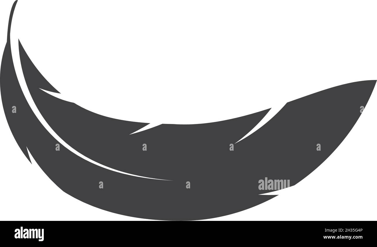 Feather ilustration  logo vector template Stock Vector