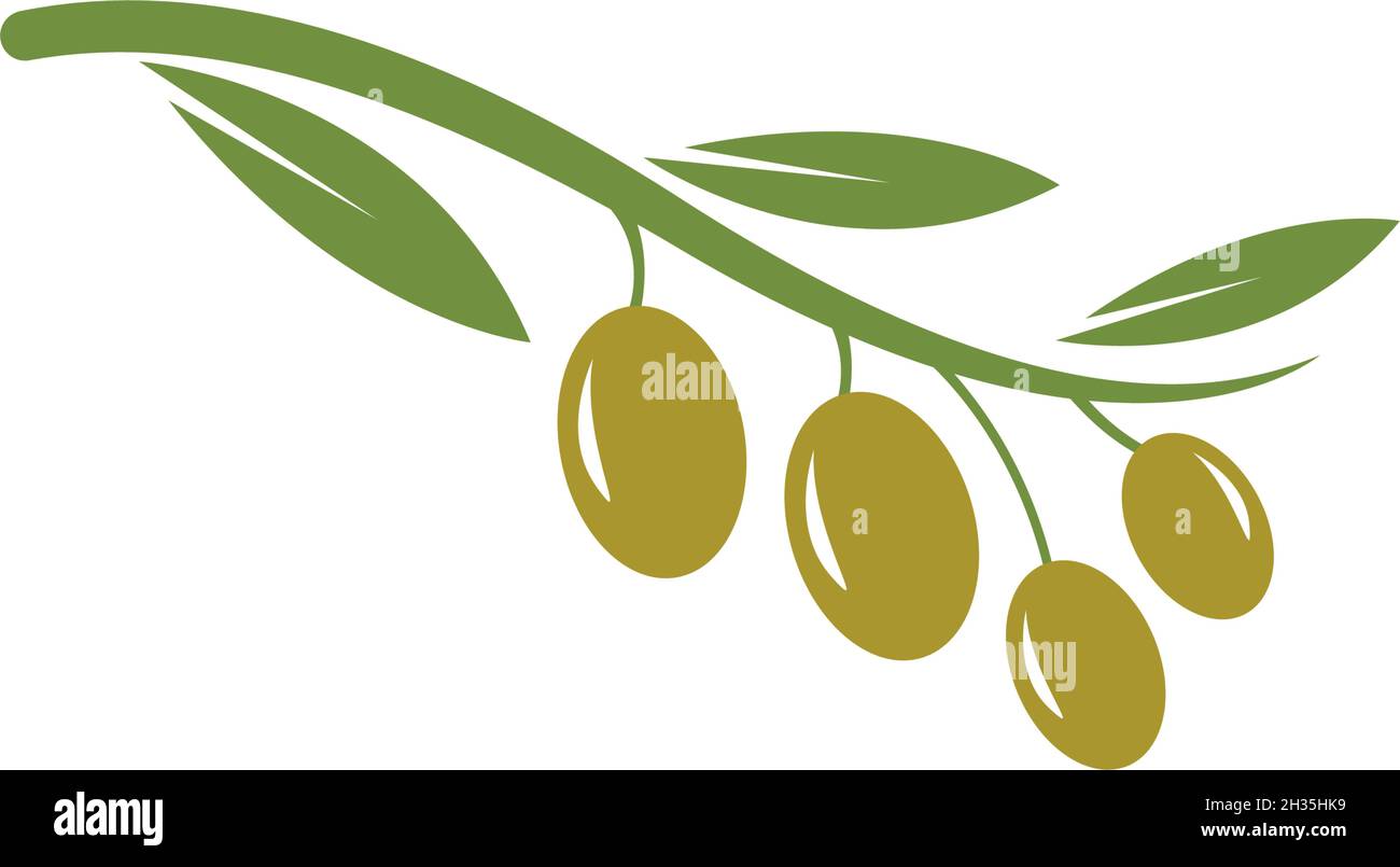 olive logo template vector design Stock Vector