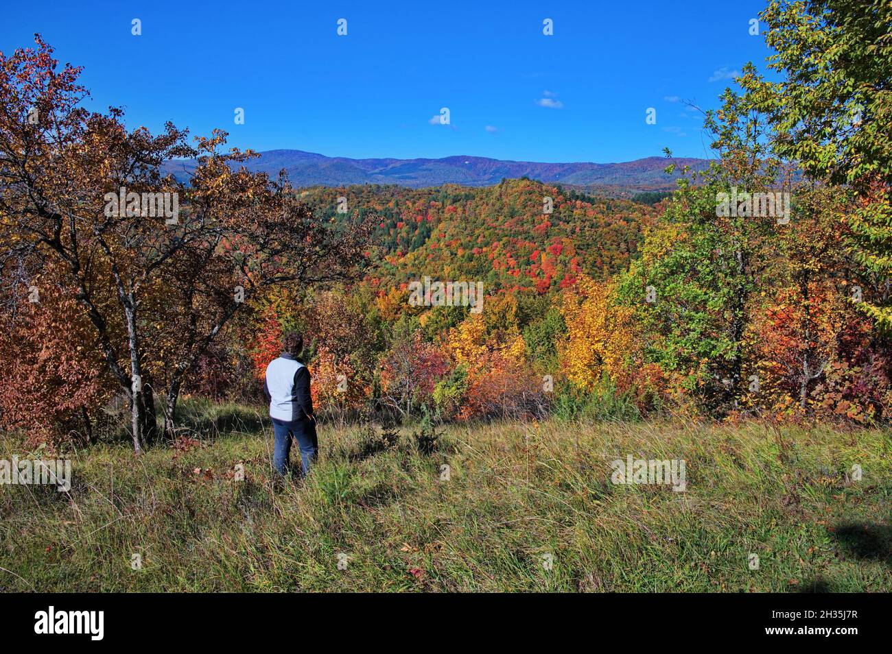 Senior woman standing on the hill with beautiful autumn forest in background Stock Photo