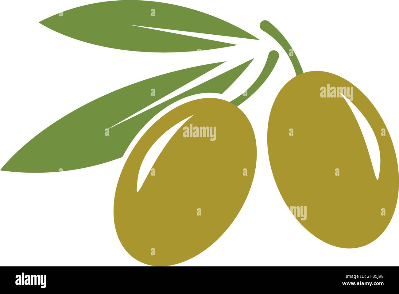 olive logo template vector design Stock Vector
