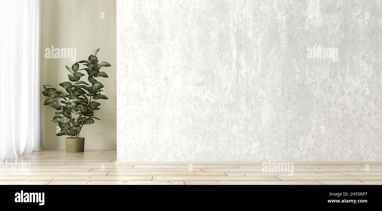 Empty interior background, room with concrete wall, plant and window 3d rendering Stock Photo