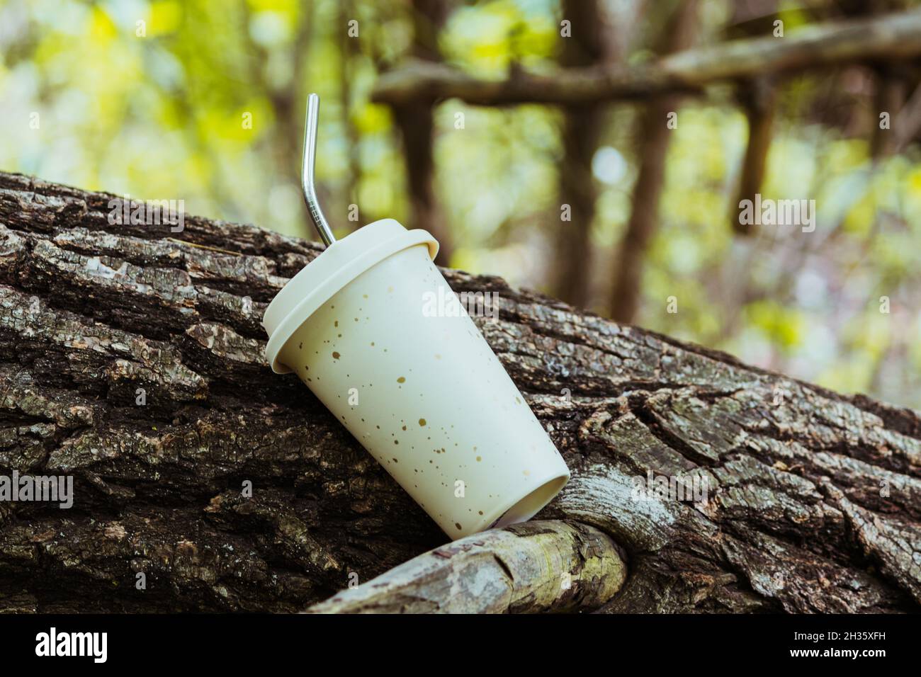 Conservation of the environment. Conscious consumption. Stock Photo