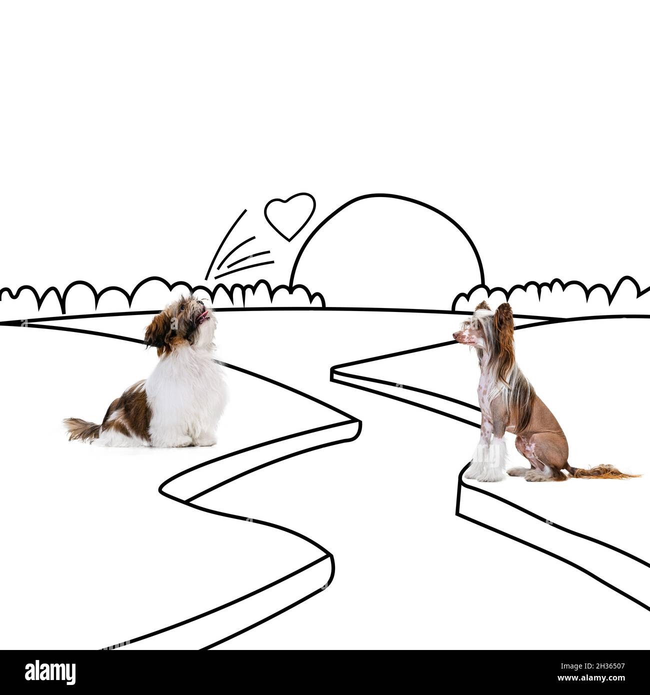 Contemporary artwork. Two beautiful dogs sitting opposite each other ...