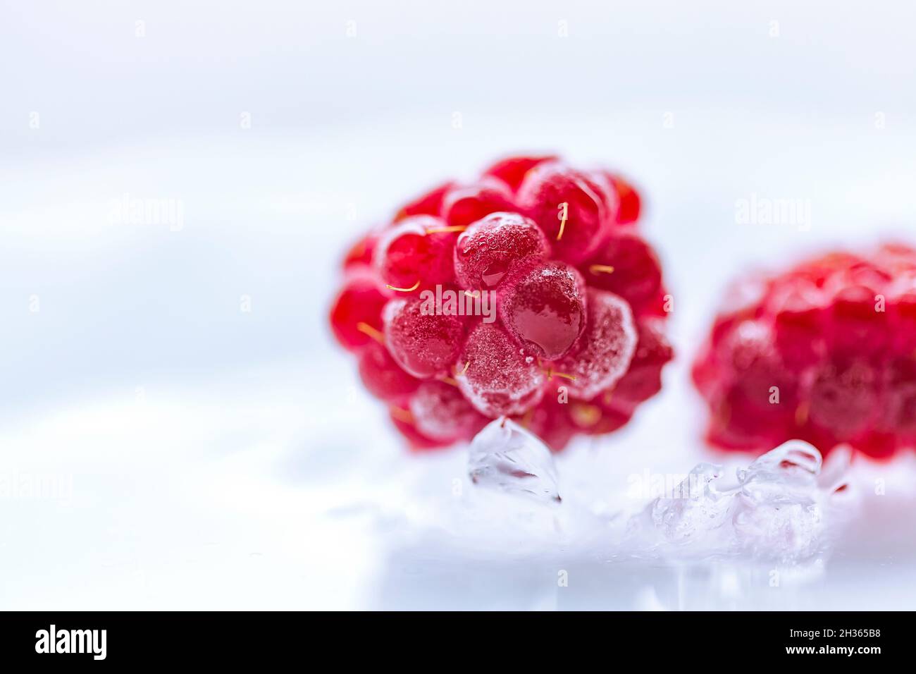 Crushed Ice Raspberry Extreme close up of frozen frosty raspberries lying on crushed ice ...