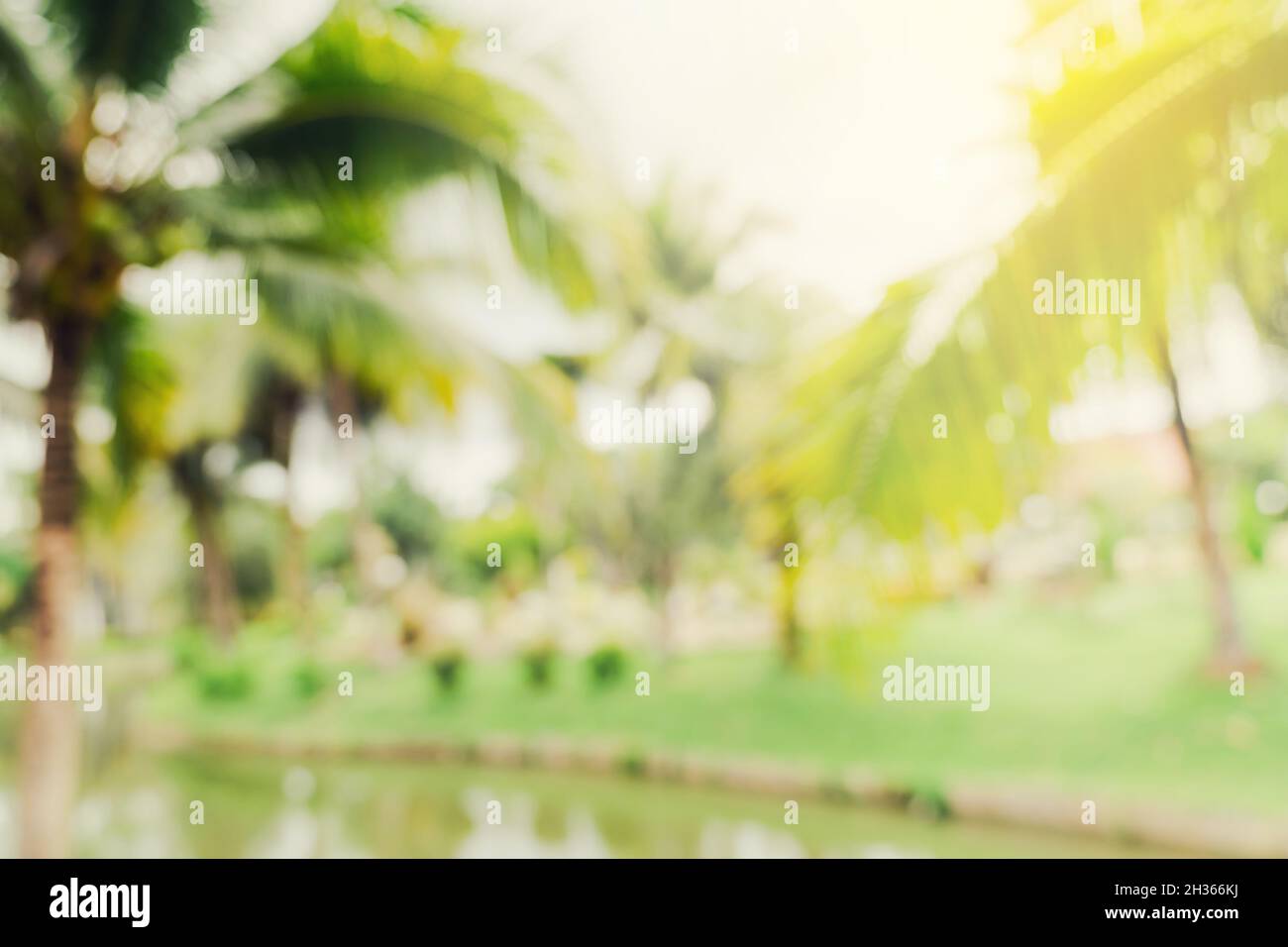defocused bokeh and blur background of garden trees in sunlight with vintage toned. Stock Photo