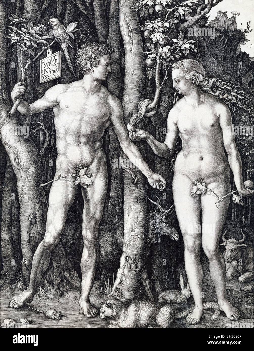 Germany: 'Adam and Eve'. Copper engraving by Albrecht Durer (21 May 1471 - 6 April 1528), 1504.  According to the Book of Genesis, God created the universe in seven days. On the sixth day, he created ‘Adam’, the Hebrew word for ‘man’, and placed him in Paradise - the Garden of Eden. From one of Adam’s ribs, God then created a mate for him: Eve, meaning ‘Mother of Life’.  Adam and Eve were permitted to eat all the fruit in the garden except that from the ‘Tree of Knowledge’. However, the devil, disguised as a serpent, persuaded Eve to eat the forbidden fruit, an apple, mankind's Original Sin. Stock Photo