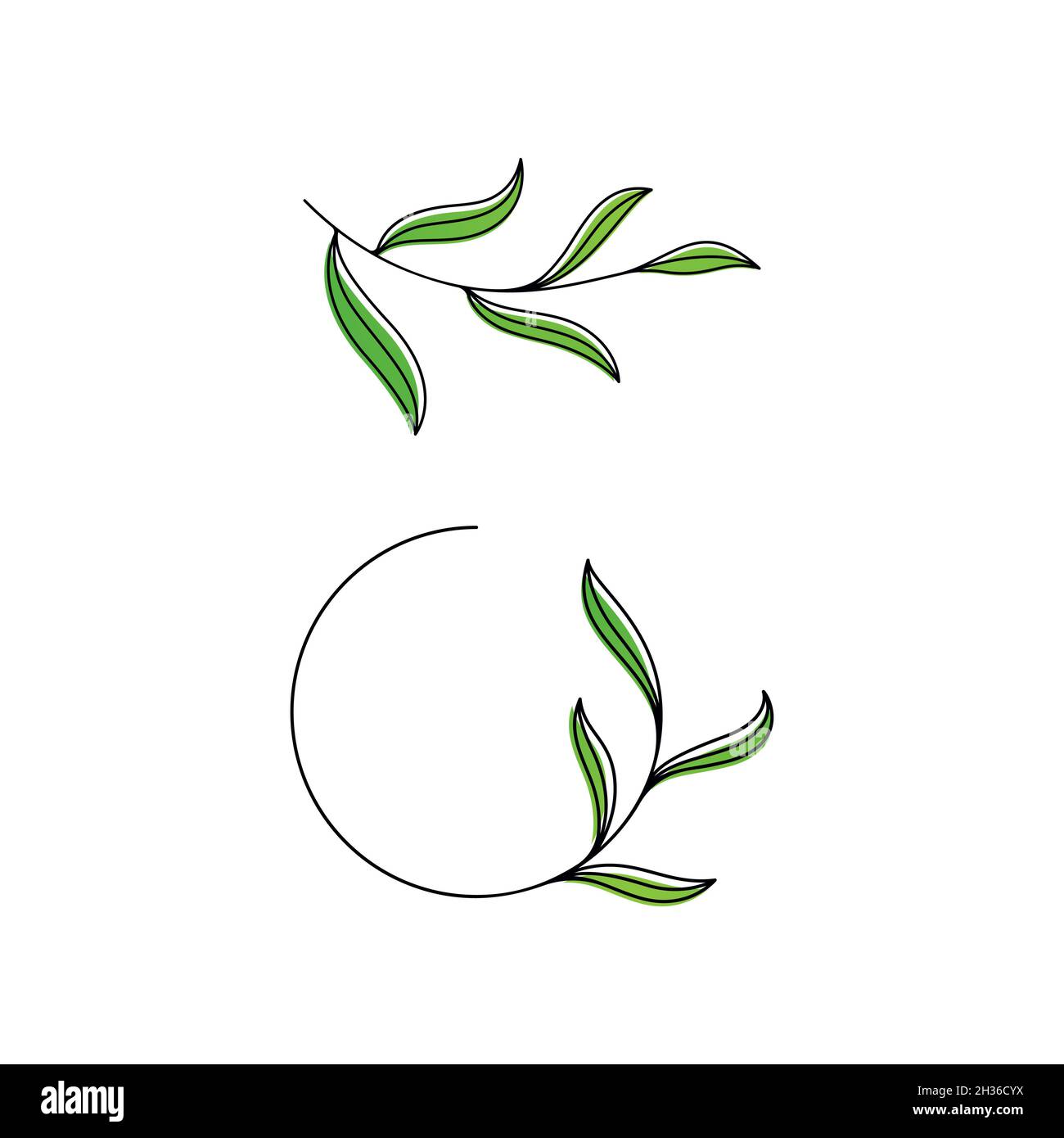 Olive leaf vector illustration design template Stock Photo - Alamy