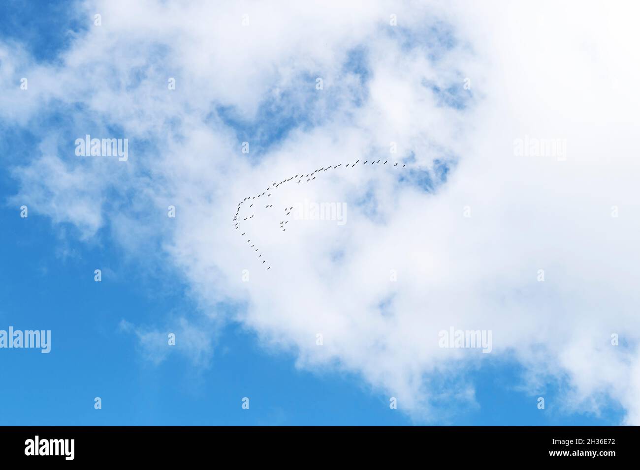 Blue sky with white clouds. blue background with clouds Stock Photo