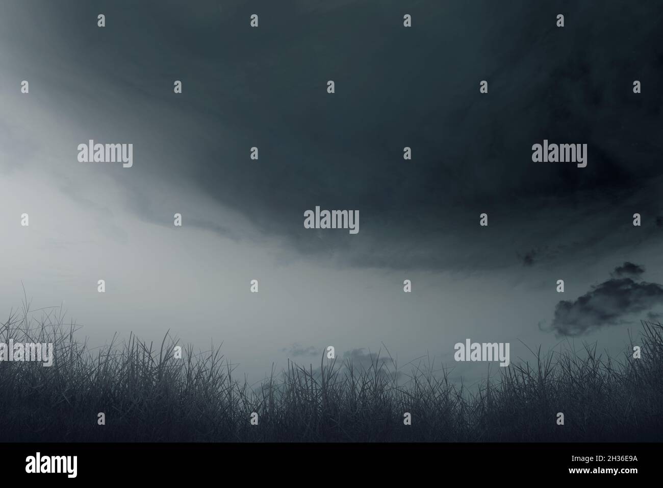 Field with the dramatic scene background Stock Photo - Alamy