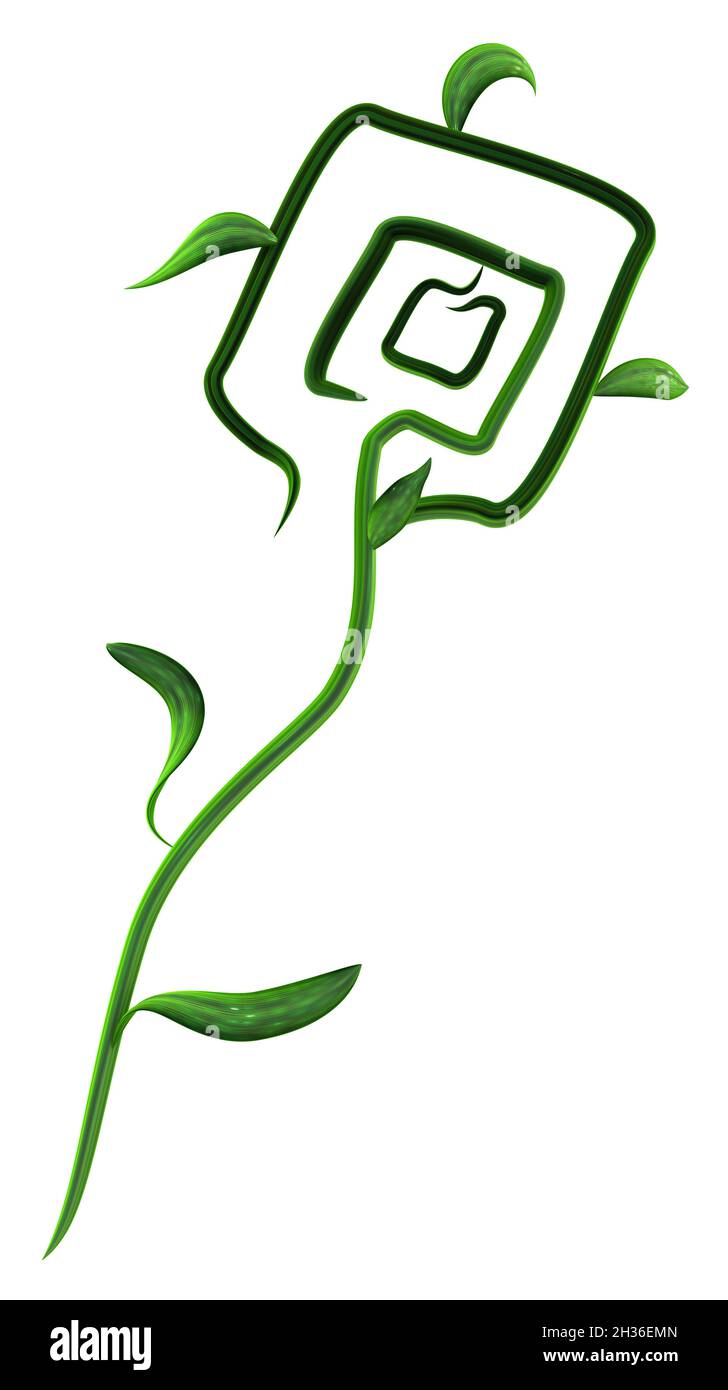 Plant vines green growing twisting square bloom flower abstract, 3d illustration, vertical, isolated, over white Stock Photo