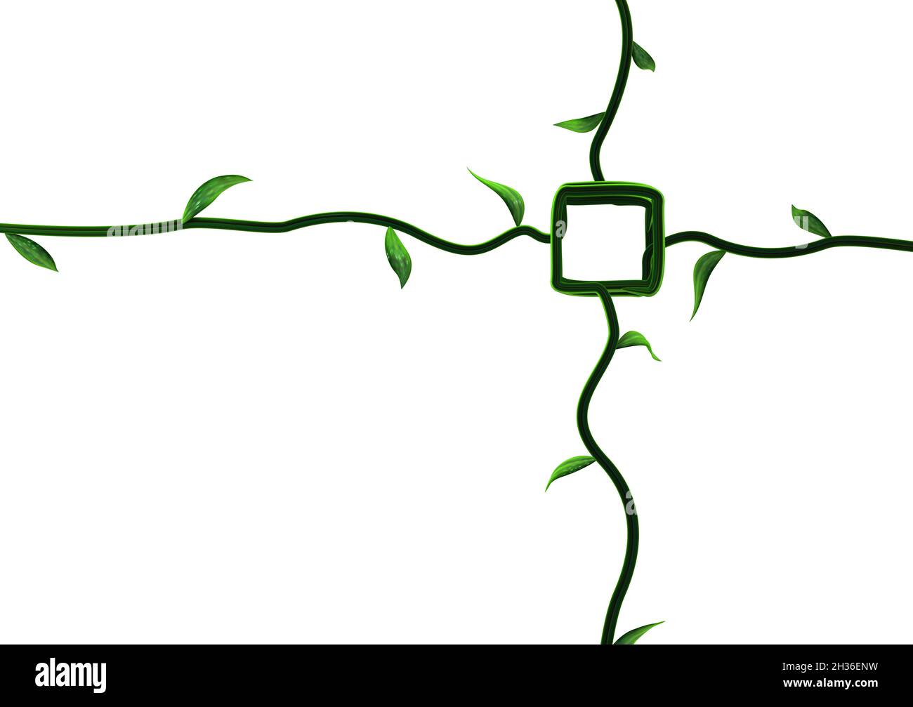 Plant vines green growing target square, 3d illustration, horizontal