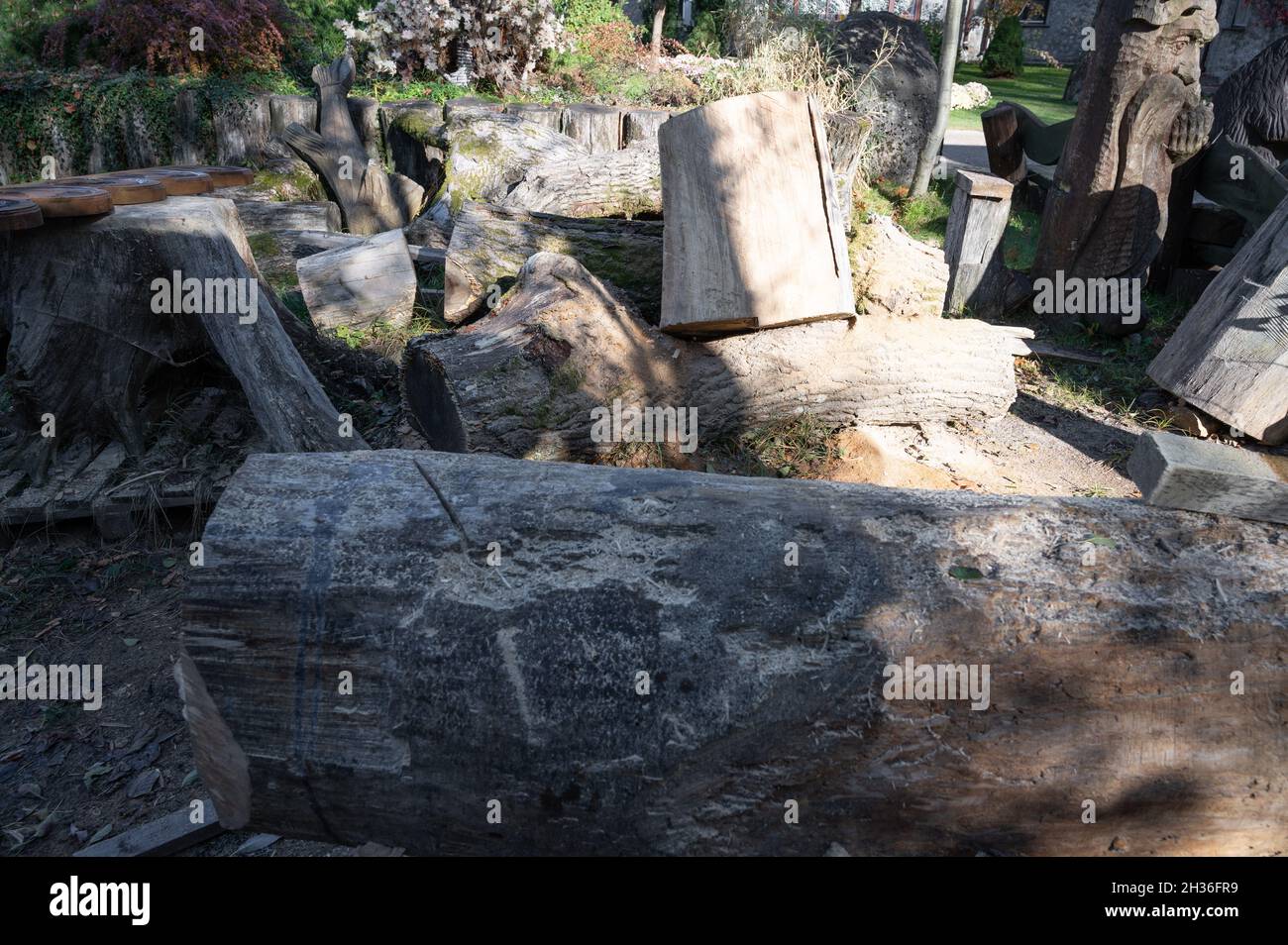 Logs of various shapes and sizes, wood for processing Stock Photo