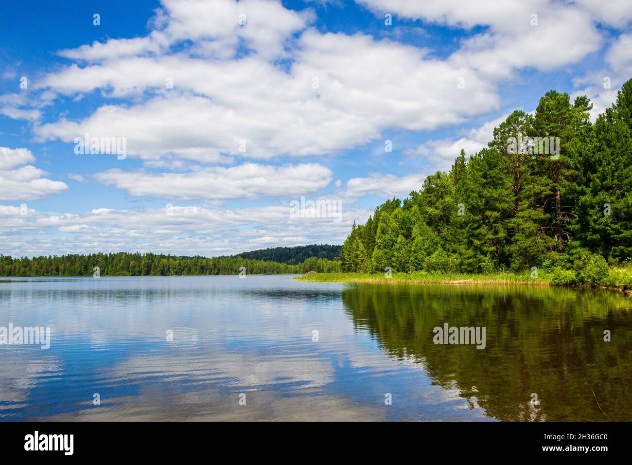 The shores of a taiga lake in Siberia. Lake Tagasuk, Russia Stock Photo