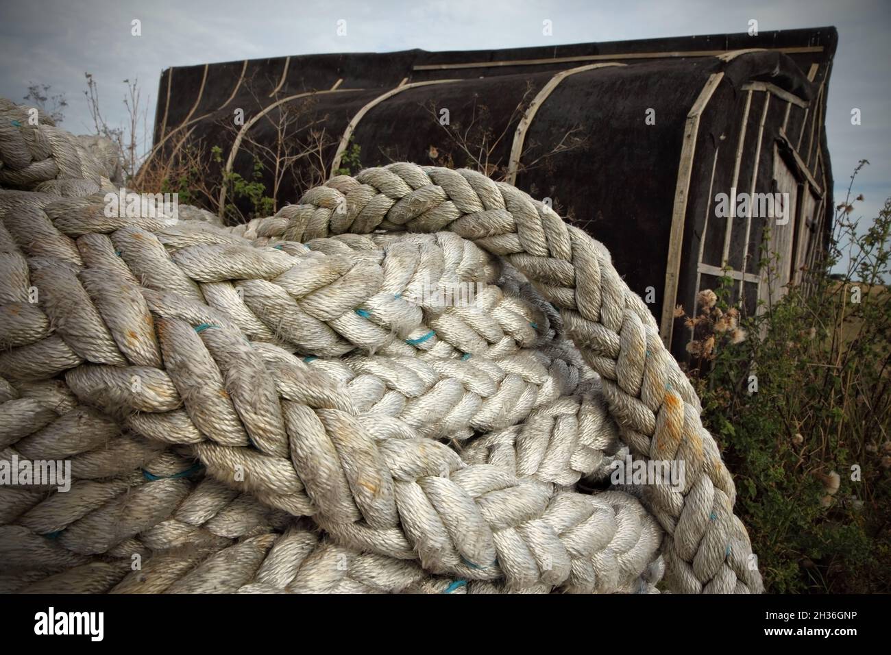Fishermen's rope coiled in storage yard Stock Photo - Alamy