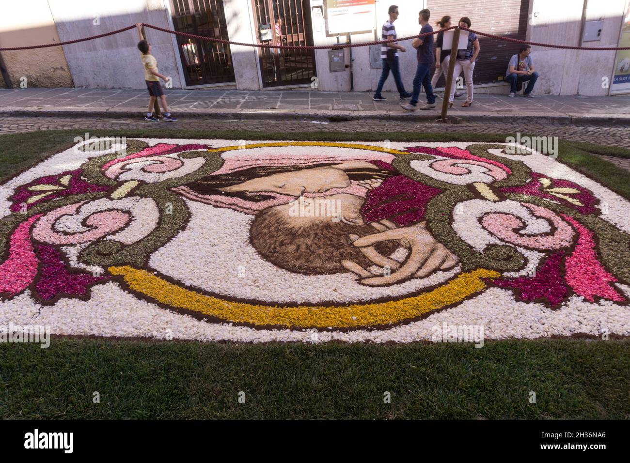 Flower Festival, Genzano, Lazio, Italy, Europe Stock Photo