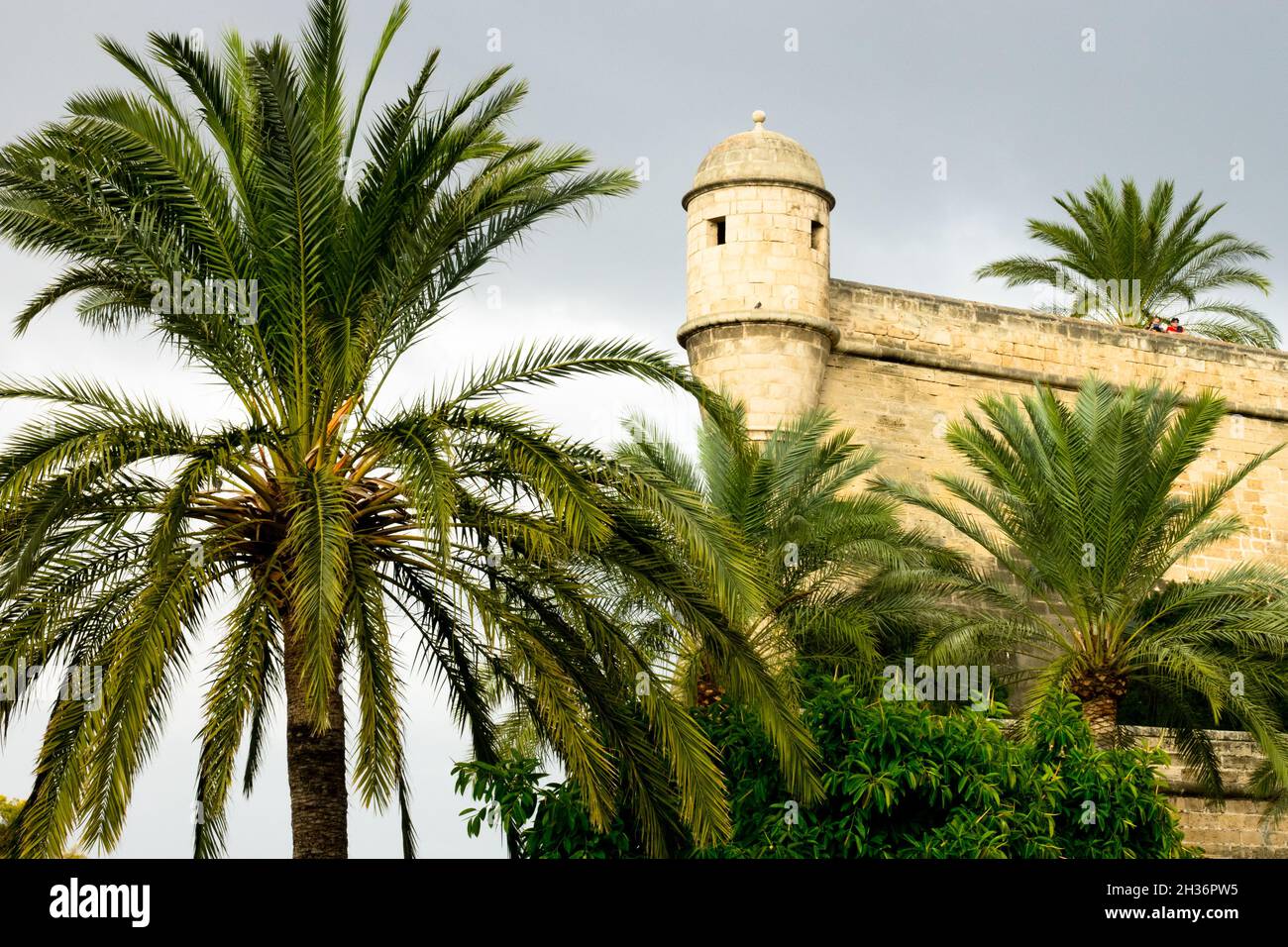 Palma de Mallorca Baluard de Sant Pere, a medieval fortress in the old town Spain Stock Photo
