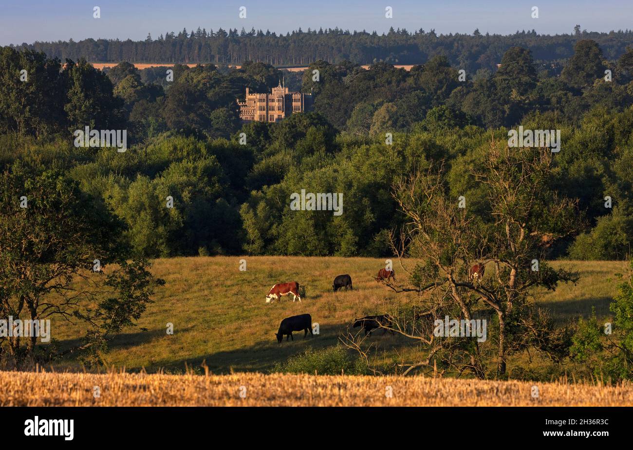 View over cherwell valley to Rousham House, Oxfordshire,England Stock Photo