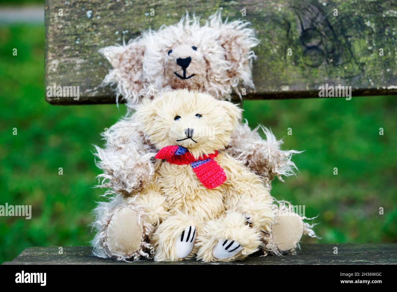 Teddy bears cuddly friends brought to life Stock Photo