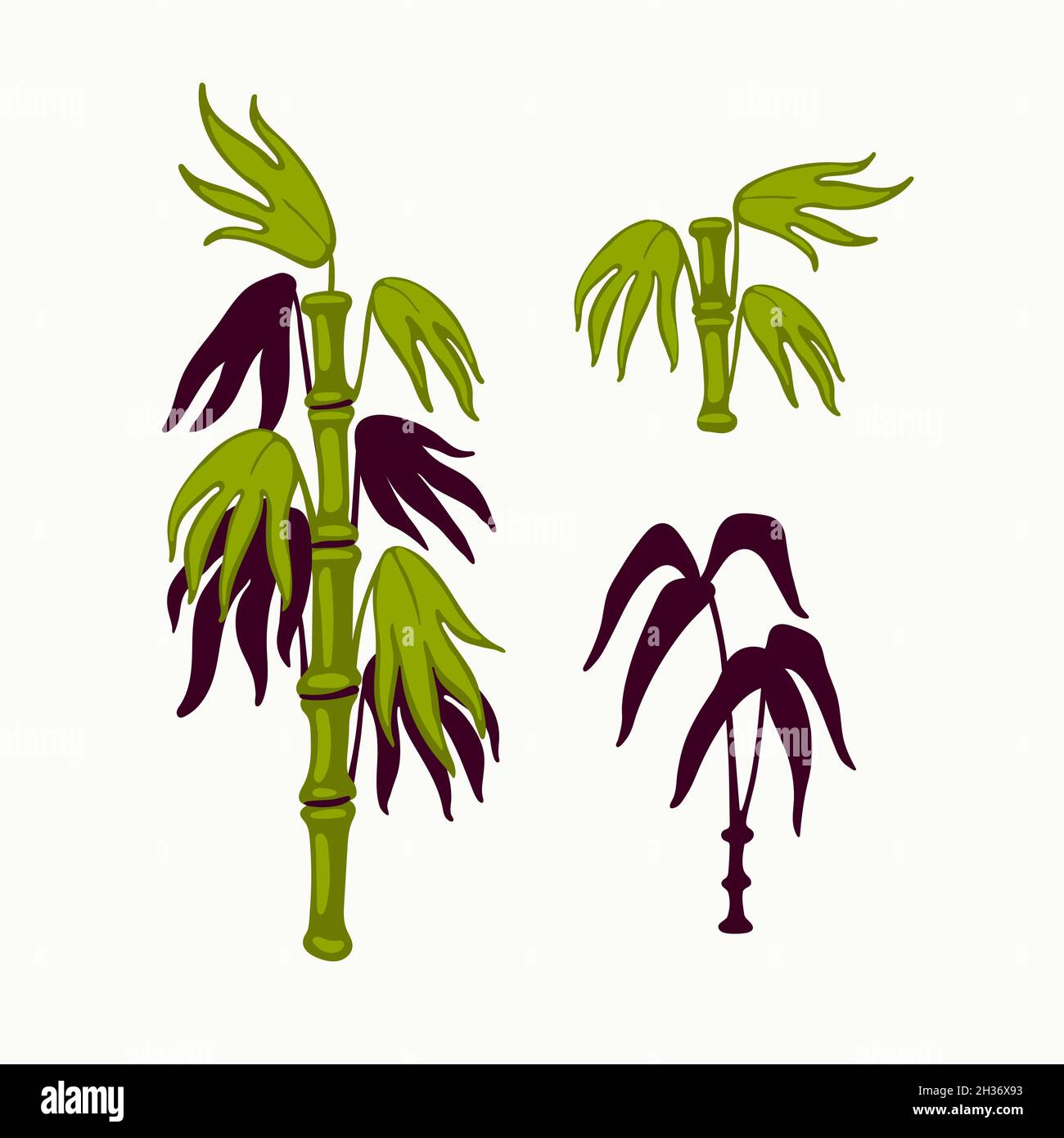 Bamboo vector, japanese bamboo leaves, and stems in oriental style