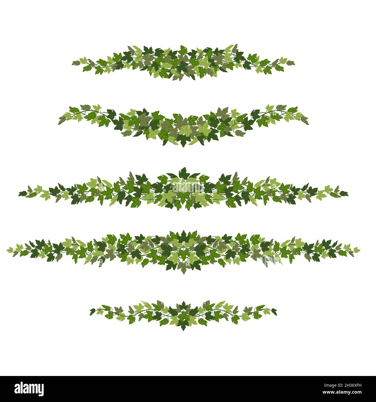 Ivy borders, green creeper decorative dividers isolated on white